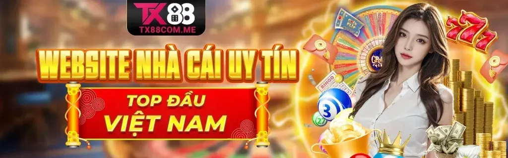 Hình ảnh tổng quan về noho90